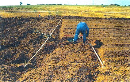 Hand deminers working in a field . Detail view