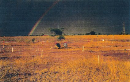 detailed view at test minefield 