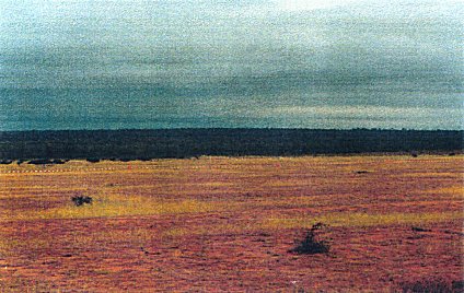 general view at landscape where to lay mines