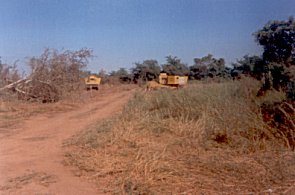 Minenfeld durchgefrst, Busch und andere Vegetation ist untergepflgt