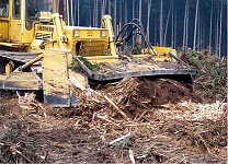 KMMCS ungepanzert als Fräse im Waldbau Einsatz